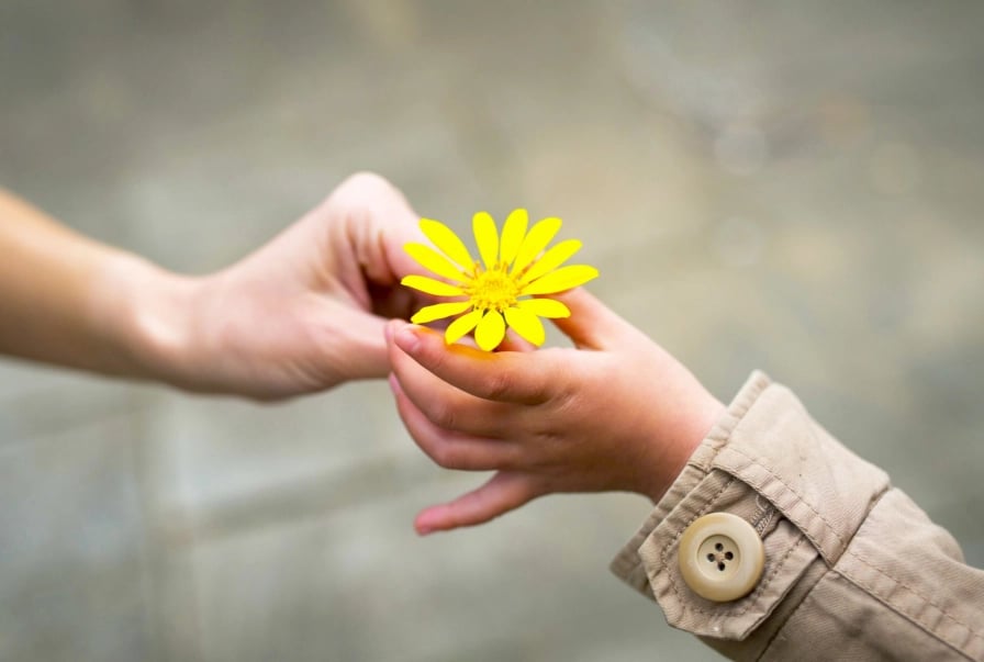 two-hands-holding-flower-scaled